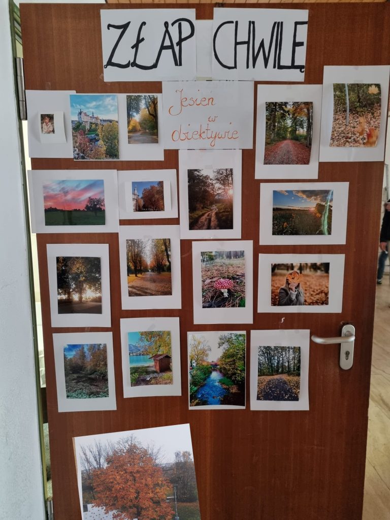 Jesień w obiektywie